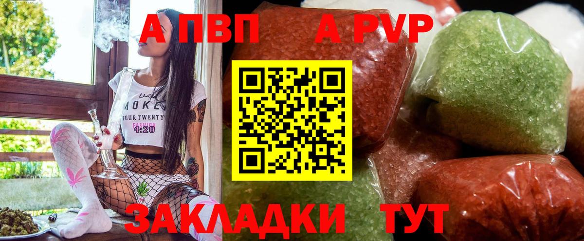 A-PVP СК Елизово