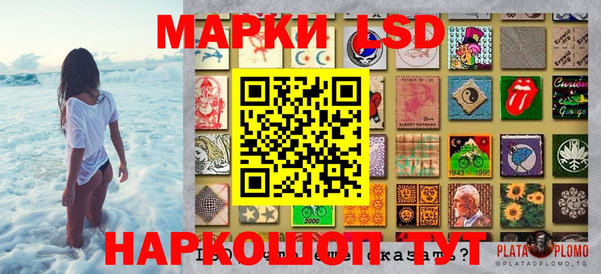 Елизово  где купить наркоту  Вход с VPN  Наркотические марки 1500мкг 