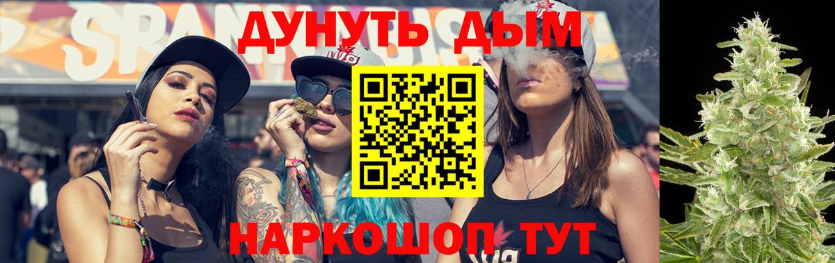 Конопля гибрид Елизово